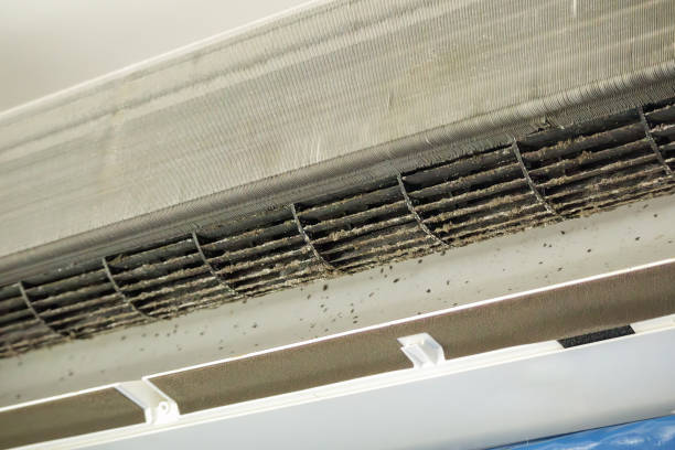 Best Home Air Vent Cleaning  in Zilwaukee, MI